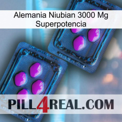 Germany Niubian 3000 Mg Superpower 03